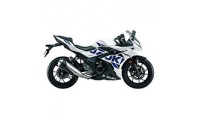 2017-2020 Suzuki GSX250R Fairings