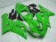 2005-2006 Kawasaki ZX6R Motorcycle Fairing - Green