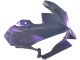 2024-2026 Kawasaki Ninja 500 EX500R Motorcycle Fairings - Chameleon Grey Dazz Pearl Purple