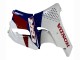 1992-1993 Honda CBR900RR 893 Motorcycle Fairings - White Red Dark Blue