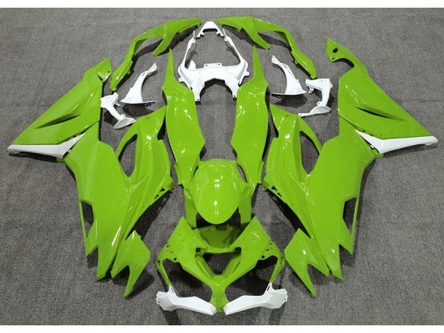 2019-2023 Gloss Green & White ZX6R Motorcycle Fairings